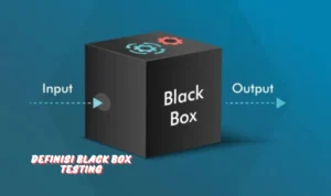 black-box-testing